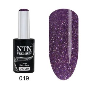 019 Esmalte semipermanente - NTN Premium - 5gr