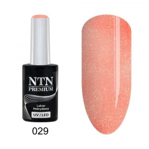 029 Esmalte semipermanente - NTN Premium - 5gr