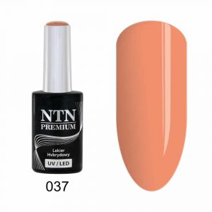 037 Esmalte semipermanente - NTN Premium - 5gr