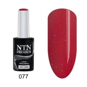 077 Esmalte semipermanente - NTN Premium - 5gr
