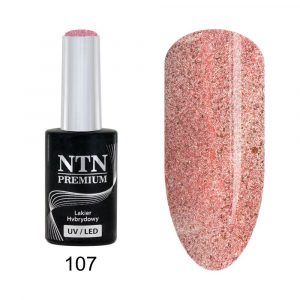 107 Esmalte semipermanente - NTN Premium - 5gr