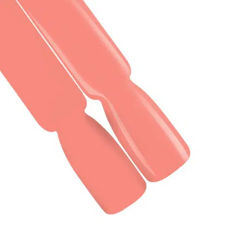 02 Base Dreamworld - NTN Premium - 5gr - Imagen 2