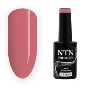 211 Esmalte semipermanente - NTN Premium - 5gr