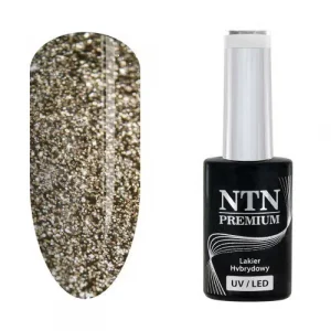241 Esmalte semipermanente - NTN Premium - 5gr